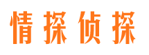 易门外遇调查取证